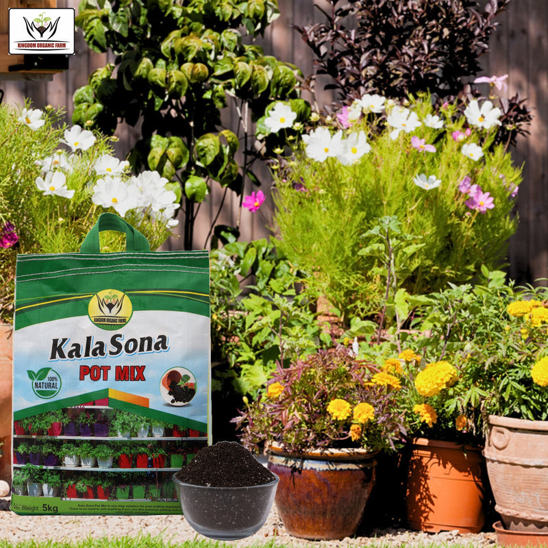 Potting Soil