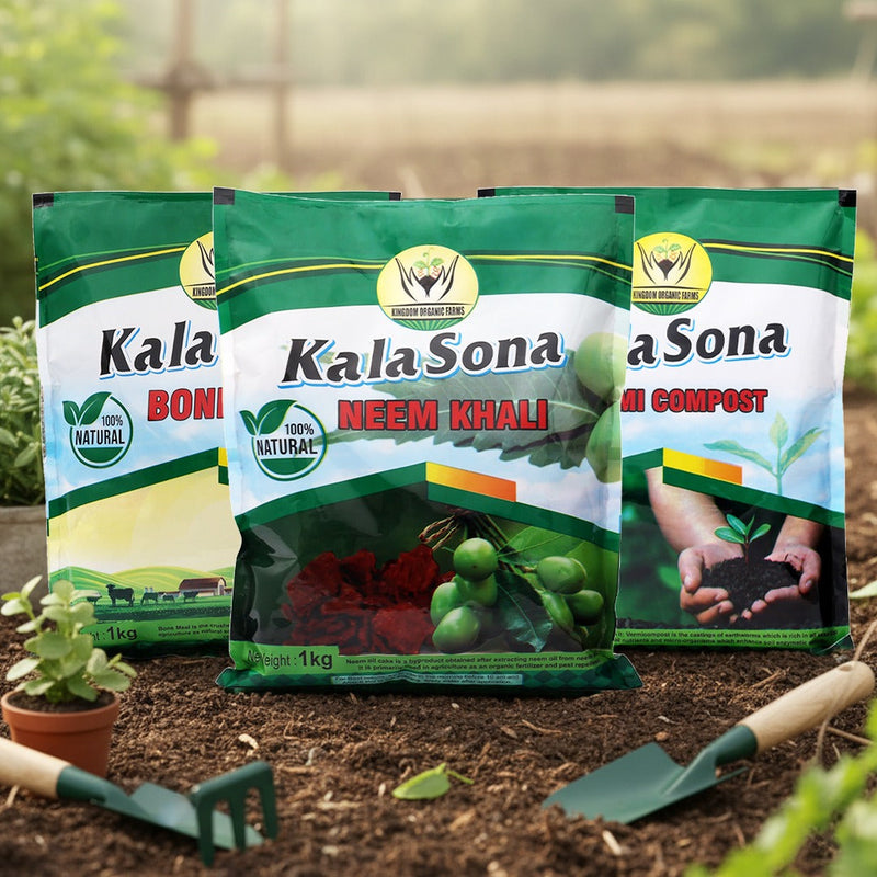 Soil and Fertilizers