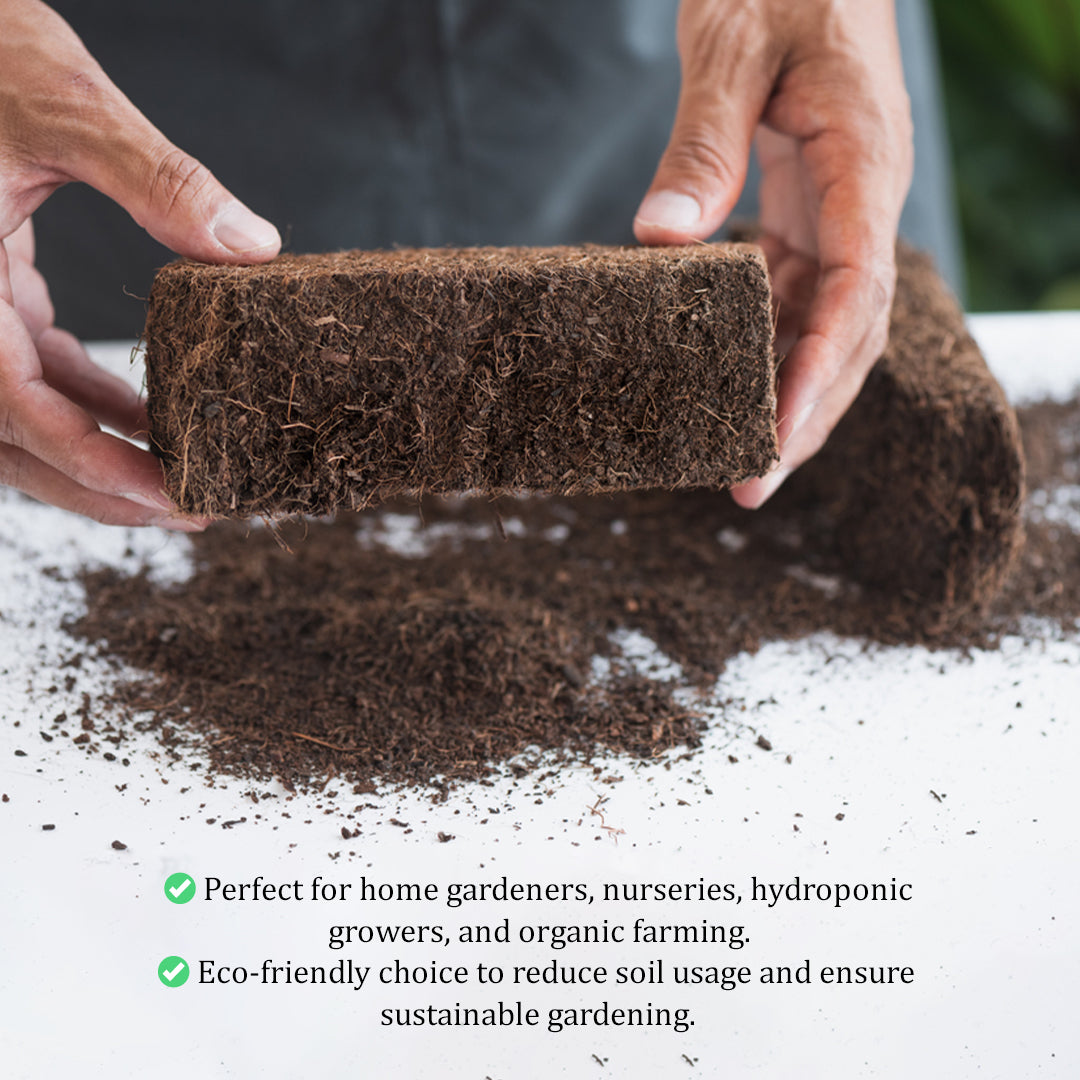Coco Peat bricks