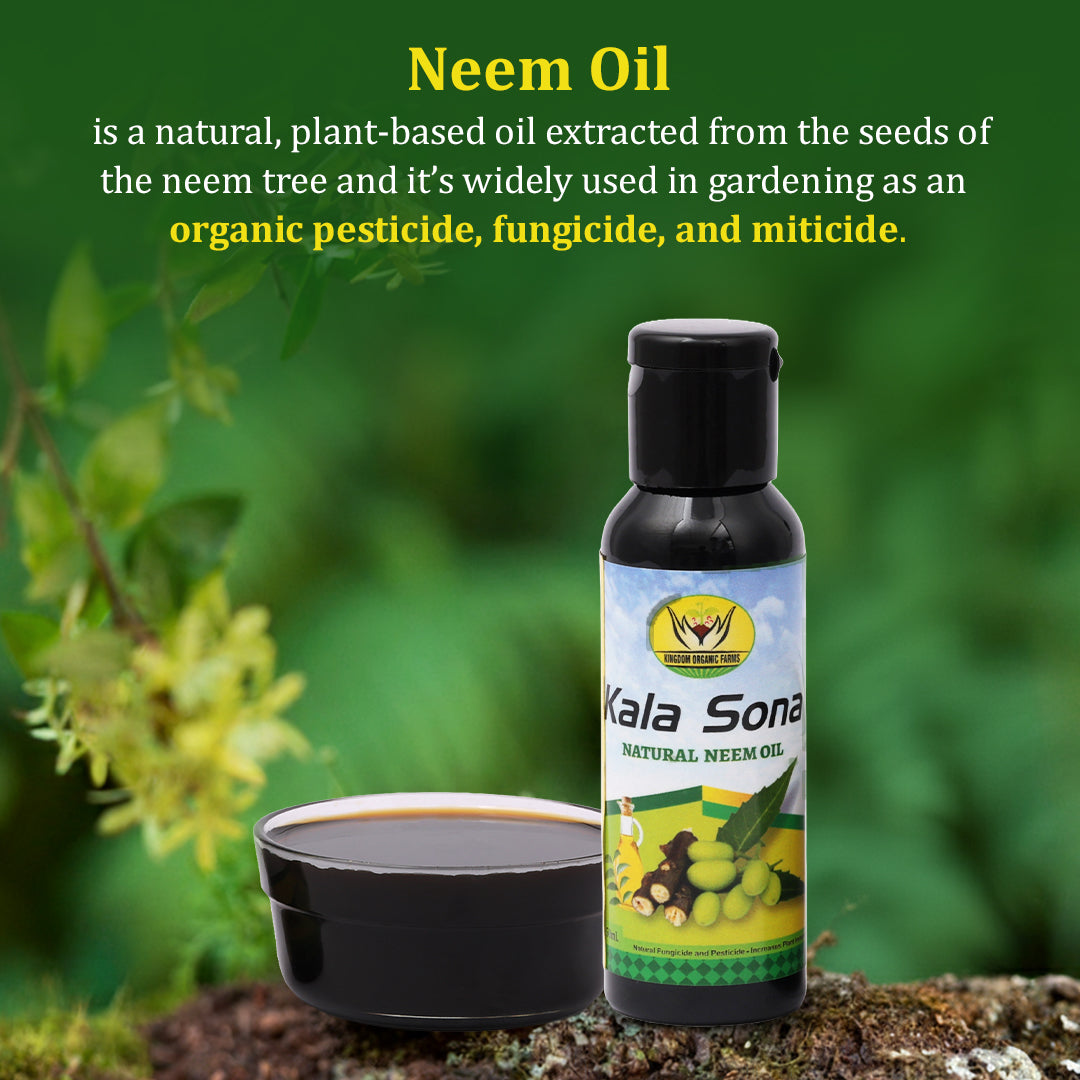 काला सोना नीम तेल - 100 मिली 