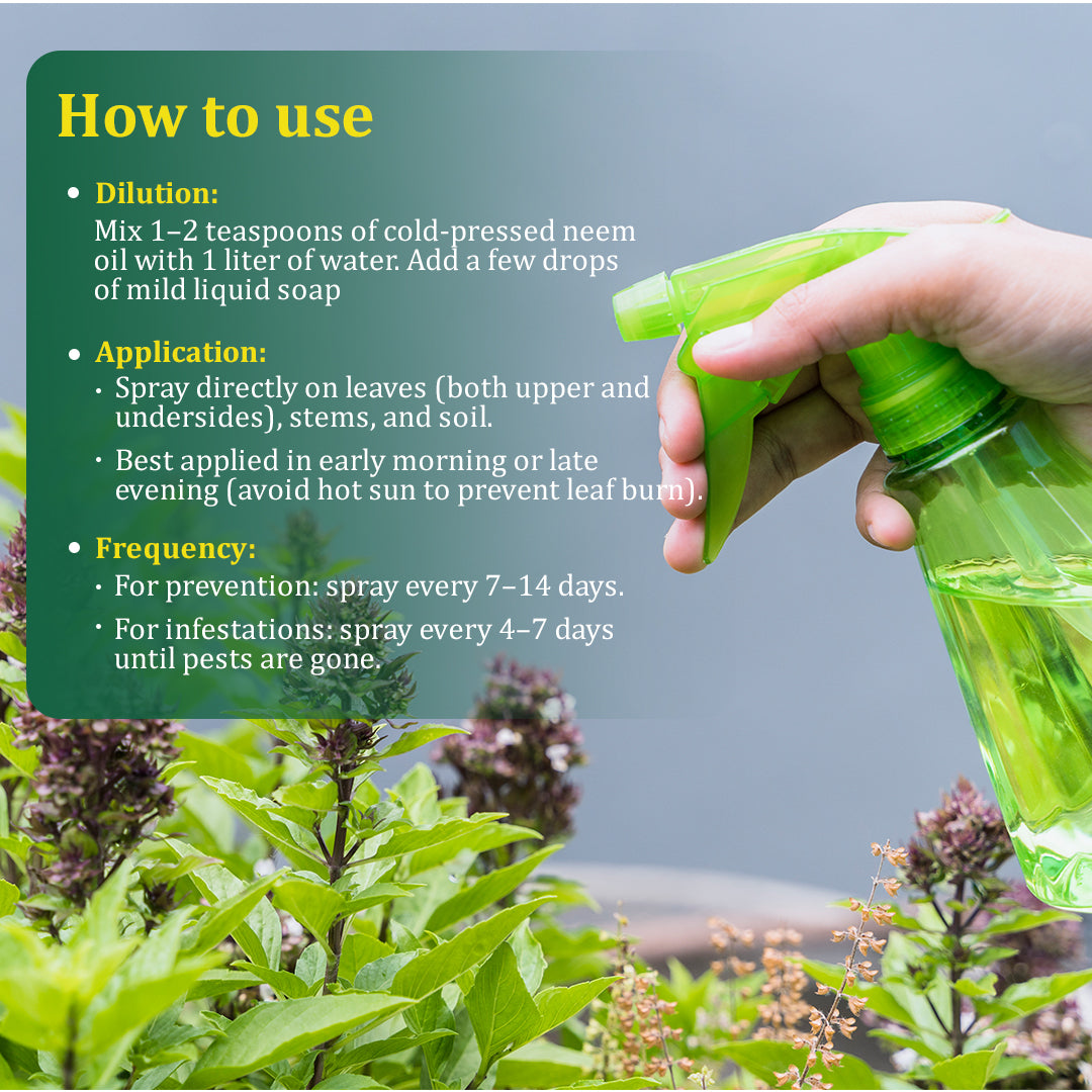 काला सोना नीम तेल - 100 मिली 