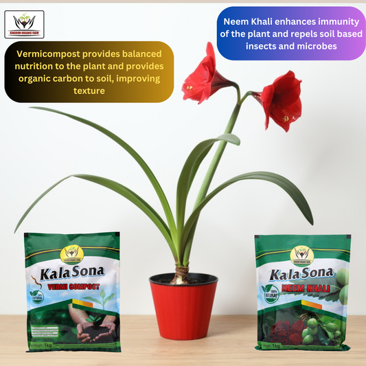 Kala sona Plant Shakti Combo - Neem Khali 1 kg and Vermicompost 1 kg