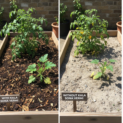 काला सोना वर्मीकम्पोस्ट - 5 किलोग्राम 