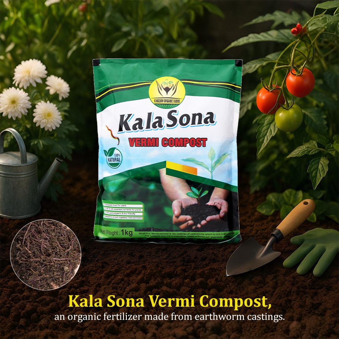 काला सोना वर्मीकम्पोस्ट - 1 किलोग्राम