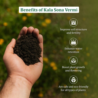 काला सोना वर्मीकम्पोस्ट - 5 किलोग्राम 
