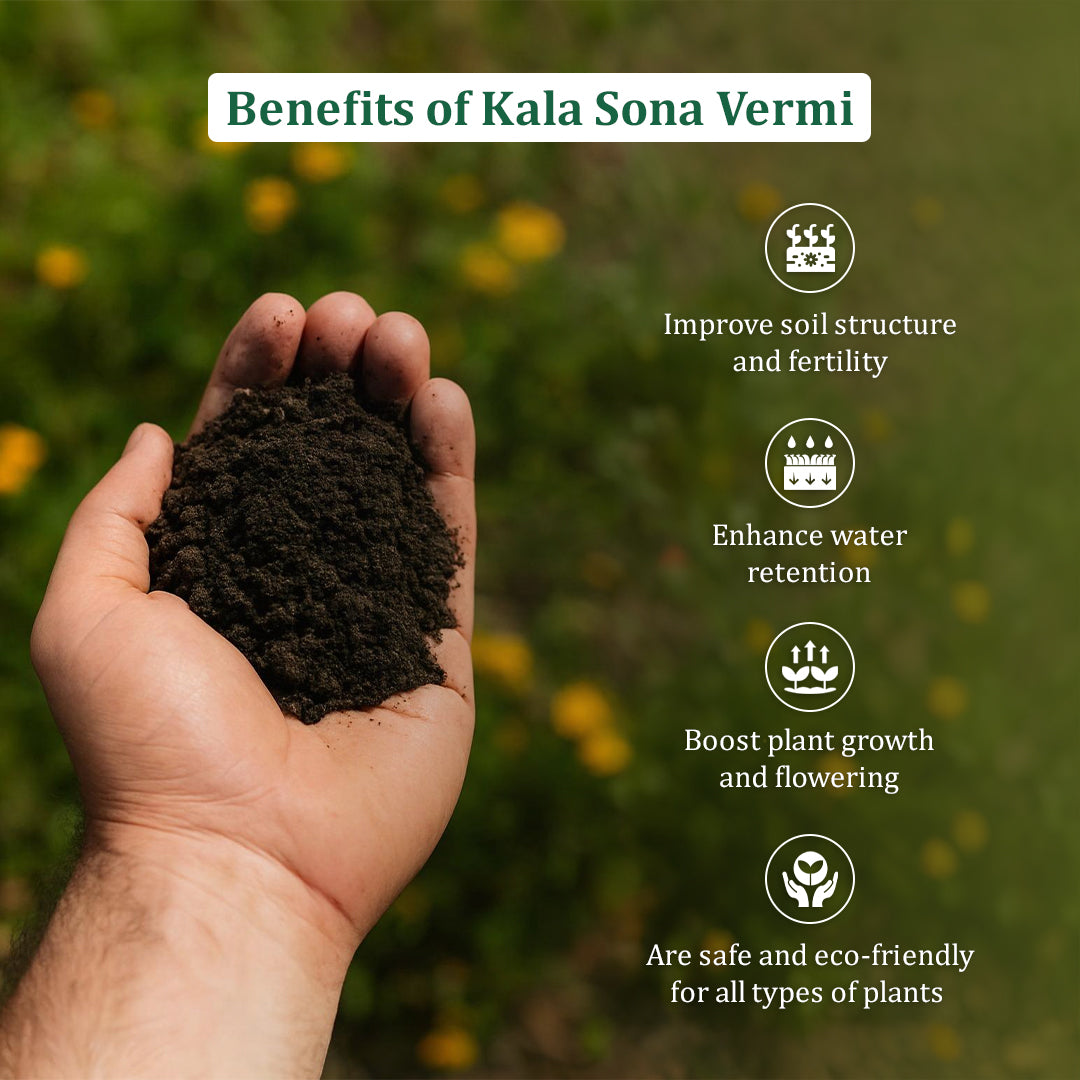 काला सोना वर्मीकम्पोस्ट 50 किलोग्राम बैग